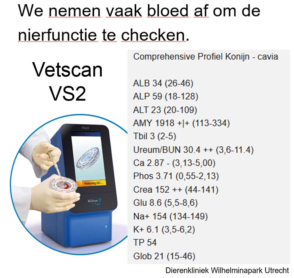 Vetscan VS2 bloed analyzer